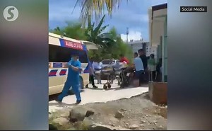 Sacrificial buffalo runs ‘amok’, injures woman