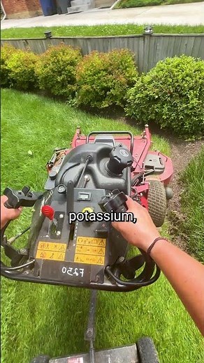 Mulch vs Bag Clippings What’s Better?