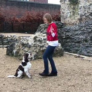 To license this content please click here: https://www.jukinmedia.com/licensing/view/1267891-10?utm_source=RMsocialpost&utm_medium=RMsocialpost | Jukin Copyright Management | Facebook