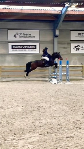 La longue !!😍#cavalière #horse #cso #equestrian #cheval #pony #equitation