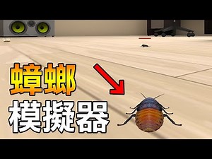 【當一隻蟑螂】當蟑螂好爽喔! 房子超大 還一個人住! | Beetle Cockroach Simulator
