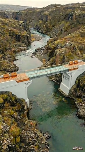 Partial Bridge Collapse & Reconstruction