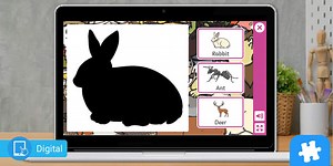 Fun Animals Shadow Matching Puzzle Game