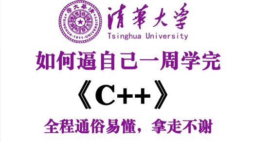 【整整300集】这绝对是2026年B站最全最细的C  零基础全套教程，小白逼自己一周学完，编程技术猛涨！全程通俗易懂，从零基础到大佬看完这套就够了！