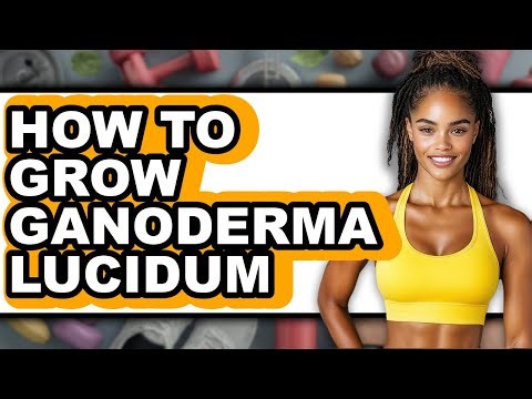 How To Grow Ganoderma Lucidum (Full Guide)