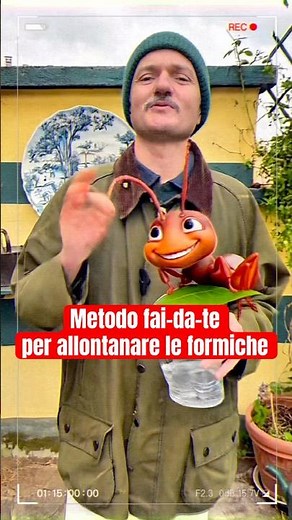 Metodo fa-da-te per allontanare le formiche. #giardinaggio #giardino #faidate #piante #fiori #eco