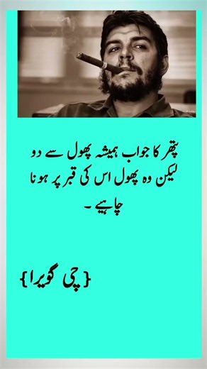 che Guevara qoute/che Guevara new qoutes #quotes #poetry #trend #cheguevaraquotes