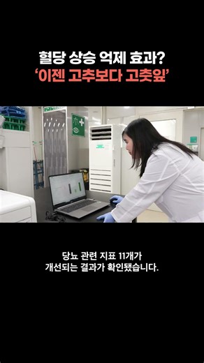 "Wonki No. 2," a pepper leaf that claims to control blood sugar levels, could become a new resour...
