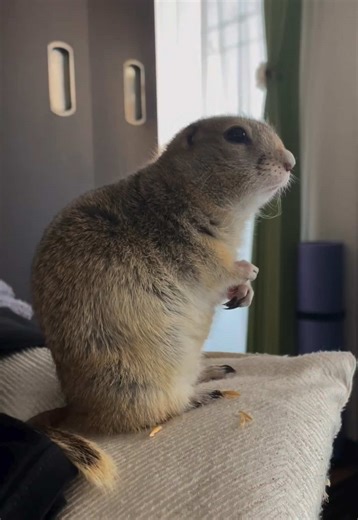 Improve Your Posture Tips