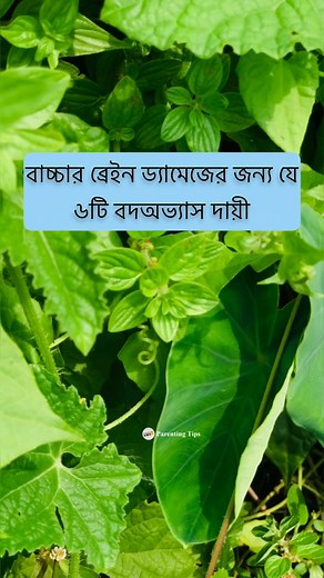 বাচ্চাদের ব্রেইন ড্যামেজের জন্য দায়ী! #parentingtips #brainhealth #babybrain #braindamage #childcare #babycare #positiveparenting | Parenting Tips
