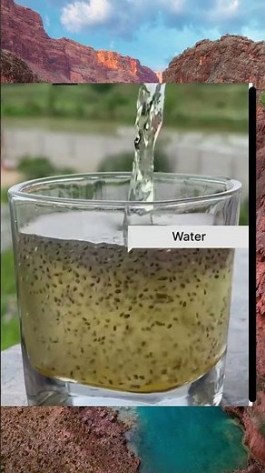 Chia Seeds Recipe