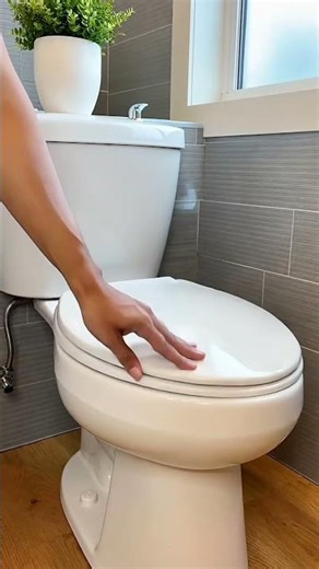 Sion Princess Turns Into a Toilet?!