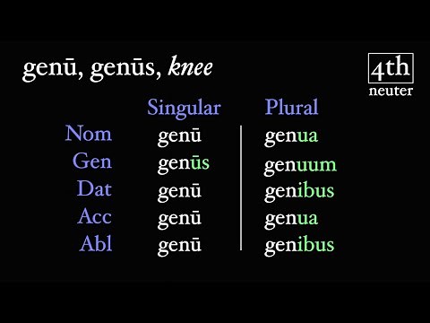 The Fourth Declension Neuter