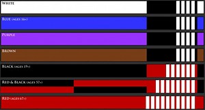 Brazilian Jiu-Jitsu Belts System Explained - BJJ World