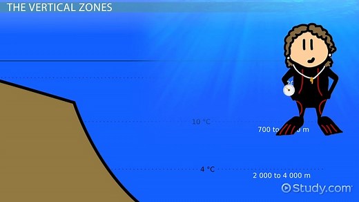 Ocean Depth Zones | Overview, Characteristics & Layers