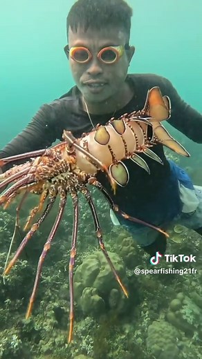 Découvrez les techniques de la pêche sous-marine