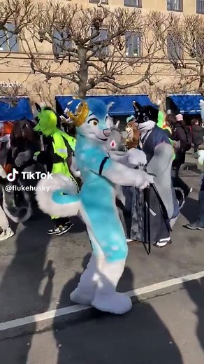 Dancing Fun with Fluke the Husky in Malmö
