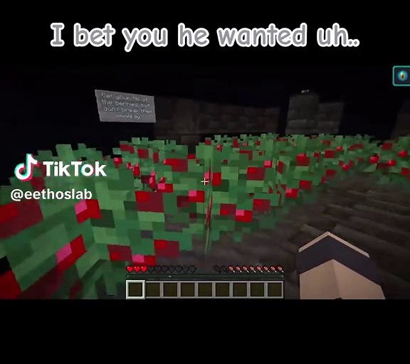 Exploring Tango's Journey in Hermitcraft Season 10