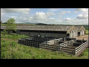 Meat Quality: Beef, Part 1