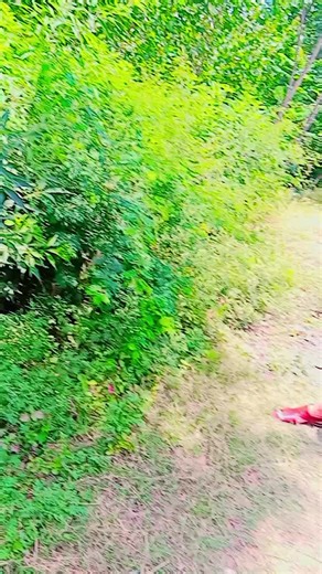 FC Commando KPK on TikTok