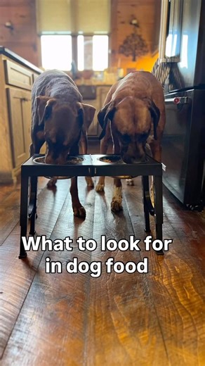 What to look for in dog food-read the description for more information ￼