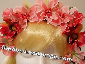 Plants: Glory Crown - flowers like a crown | 2025