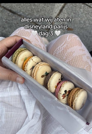 ik wil weer disney macarons eten 🥹 #disneyland #disneylandparijs #dlp #disney #disneylandparis