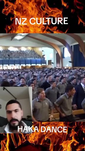 NZ culture shock no TikTok