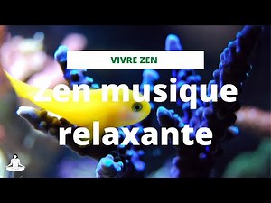 20 Minutes De Slow Musique Relaxante-Musique Avec Fond De Mer-Plongée Sous Marine-Musique Zen