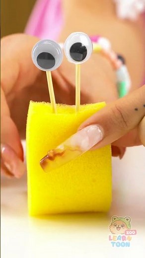 🔢 Learning MATHS Made Easy 🐌 With a Cute Sponge SNAIL 🎨