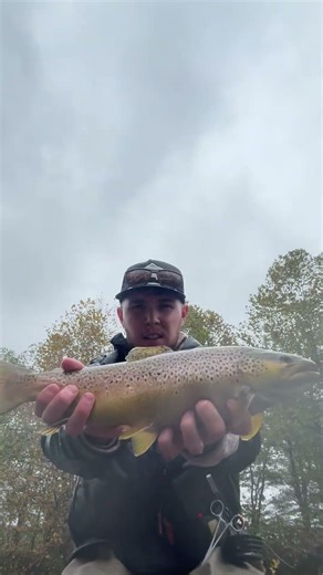 Heavily Fished Spot, Huge Reward: Big Brown Trout From the Hoosic River