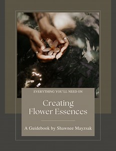 How to Collect Flower Essences Guidebook - Etsy Canada