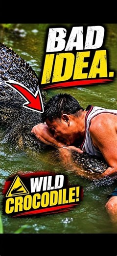 Why You Should NEVER Touch a Wild Crocodile 🐊