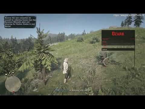 Red Dead Redemption 2 🔥ONLINE HACK🔥 Free Cracked Mod Menu ✅Working 2023✅