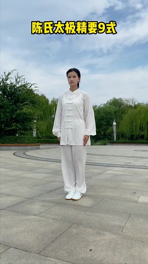 陳氏太極拳九十九式的精要教學