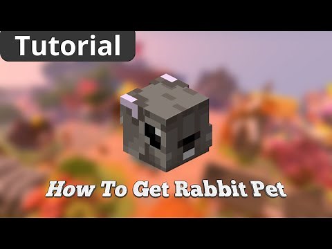 How To Get RABBIT PET in Hypixel Skyblock