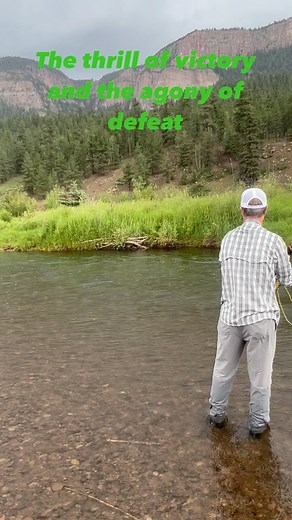 The Reel Life Fly Shop | The dry fly fishing on the Conejos River has been epic! What a blast guiding Hank and Claudia Holmes! 🎣 #conejosriver #orvis... | Instagram