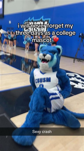 i can’t believe they let me do this. such an honor #mascot #crashthecougar @Cal State San Marcos @Blu Cru