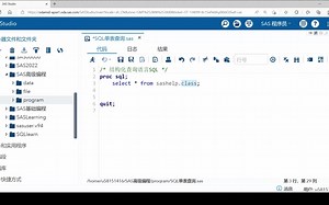 【SAS高级编程】P2 SQL单表查询