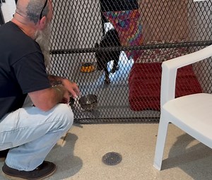 The Ornery One on Reels