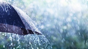 Western Washington's rainy weather 'certainly better than not having any rainfall at all'