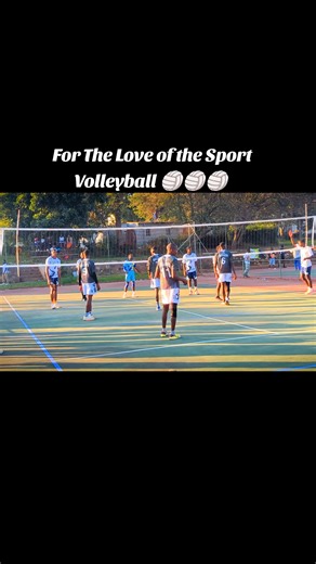 Exciting Volleyball Moments and Clips to Enjoy