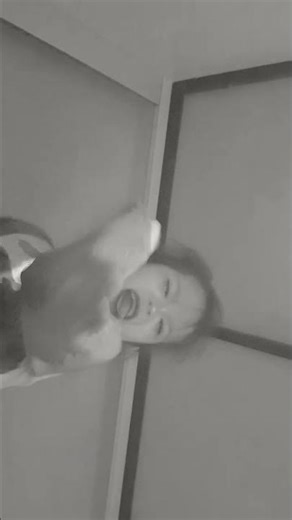 22 марта 2026 г.