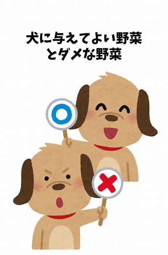 ダメな野菜は特に気をつけましょう😣 犬に与えてよい野菜とダメな野菜 #犬 #犬好きと繋がりたい #わんこのいる生活 #いぬのきもち #pr VOICEVOX：青山龍星