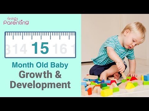Your 15 Month Old Baby's Growth and Development (Also Know the Activities & Care Tips)
