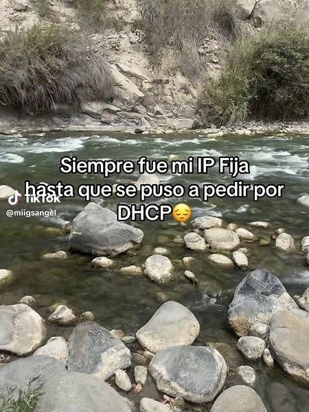 IP Fija y DHCP: Un Dilema Informático