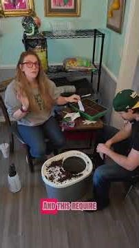 Yes—you can start a flower cut garden in January