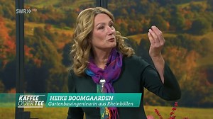 Bilder aus Moos in zwei Varianten