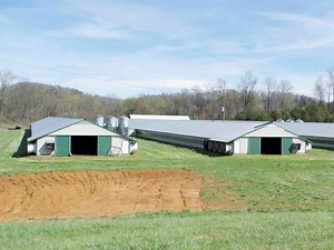 [Hot Item] Well Designed Broiler Breeder Layer Chicken Use Poultry Farm Construction Design