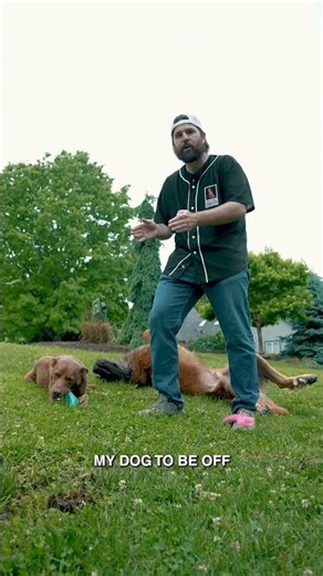 PetSafe’s Three Fence Types
